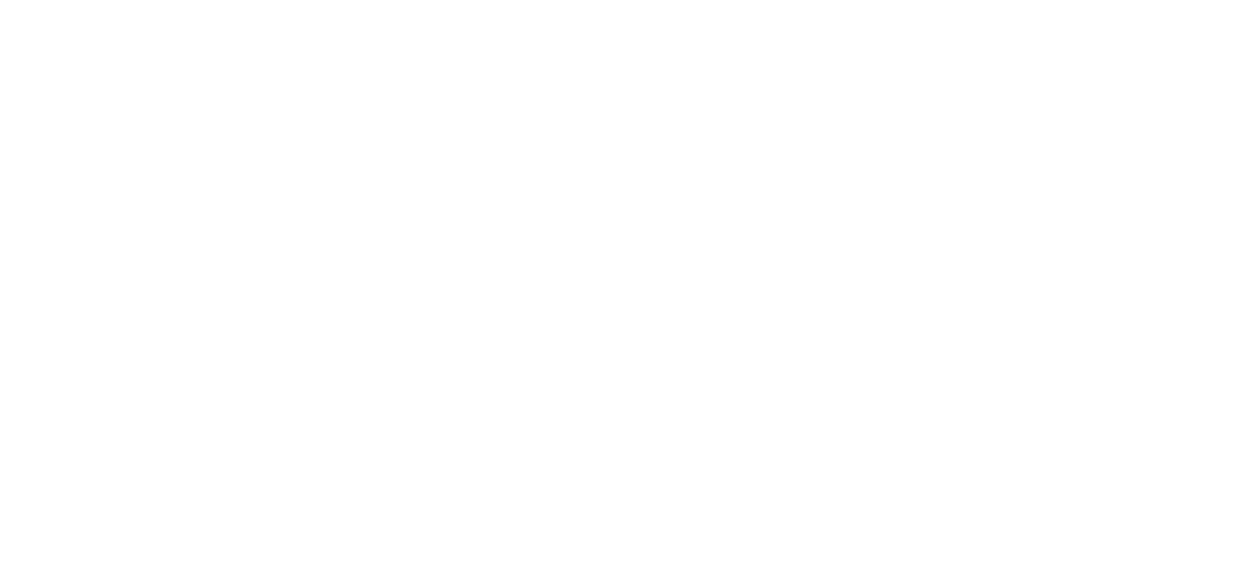 logo noemi casquet white